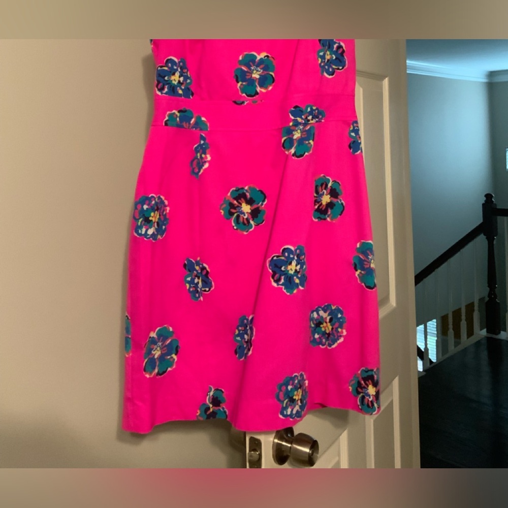 Lilly Hot pink Dress